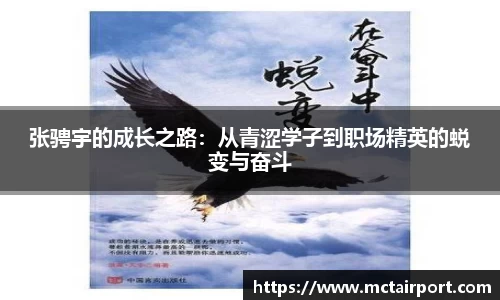 JN体育